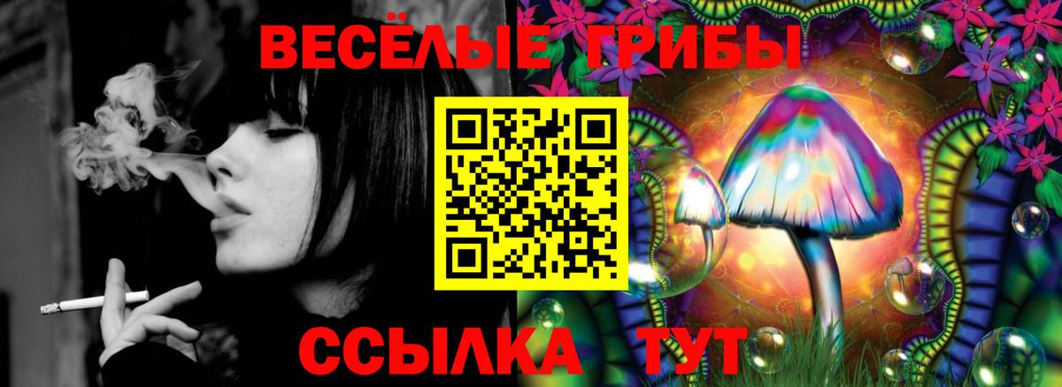Саранск  Галлюциногенные грибы Cubensis  Вход с VPN  Галлюциногенные грибы Psilocybe 
